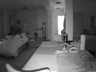 voyeurcam-celticiron-02