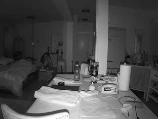 voyeurcam-celticiron-02