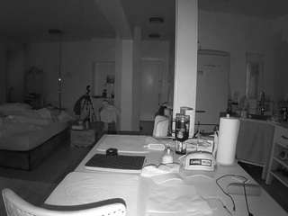 voyeurcam-celticiron-02