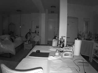 voyeurcam-celticiron-02