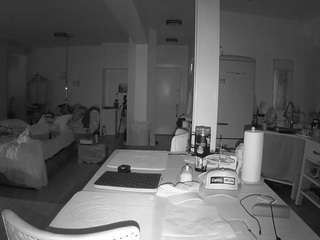 voyeurcam-celticiron-02