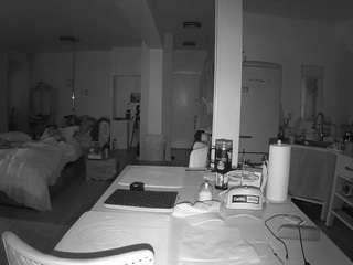 voyeurcam-celticiron-02