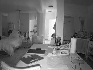 voyeurcam-celticiron-02