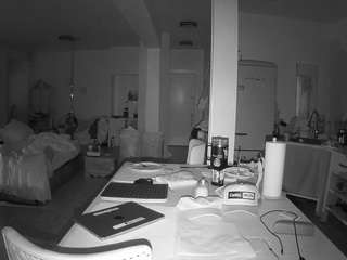 voyeurcam-celticiron-02