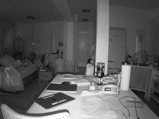 voyeurcam-celticiron-02