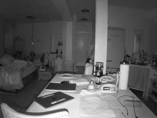 voyeurcam-celticiron-02