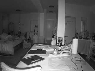 voyeurcam-celticiron-02