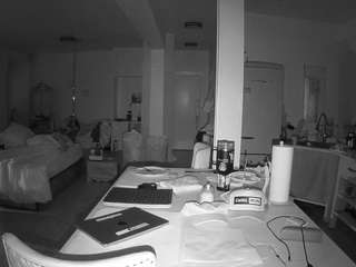 voyeurcam-celticiron-02