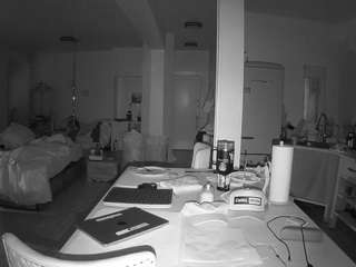 voyeurcam-celticiron-02