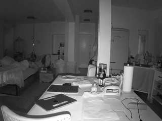 voyeurcam-celticiron-02