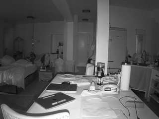 voyeurcam-celticiron-02