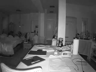 voyeurcam-celticiron-02