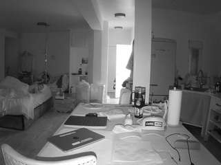 voyeurcam-celticiron-02