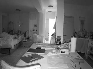 voyeurcam-celticiron-02