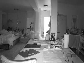 voyeurcam-celticiron-02