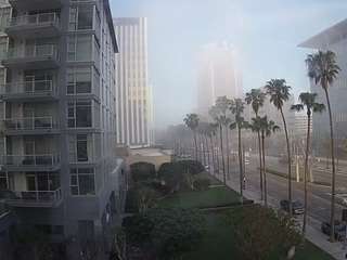 voyeurcam-celticiron-02