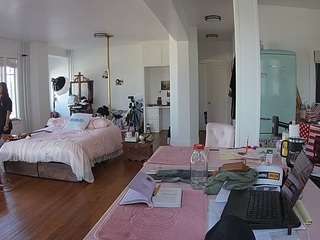 voyeurcam-celticiron-02