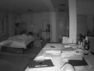 voyeurcam-celticiron-02