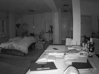 voyeurcam-celticiron-02