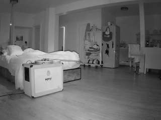 voyeurcam-celticiron-02