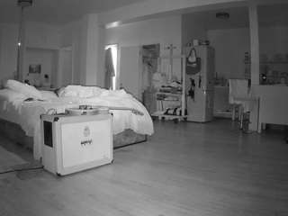 voyeurcam-celticiron-02