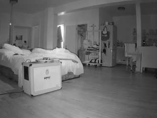 voyeurcam-celticiron-02