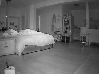 voyeurcam-celticiron-02