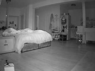 voyeurcam-celticiron-02