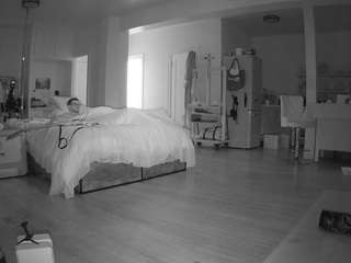 voyeurcam-celticiron-02