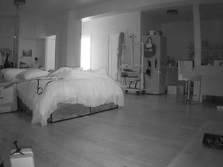 voyeurcam-celticiron-02