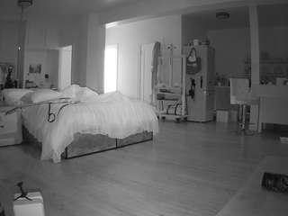 voyeurcam-celticiron-02