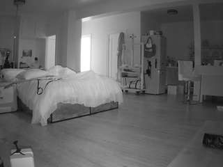 voyeurcam-celticiron-02