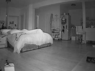 voyeurcam-celticiron-02