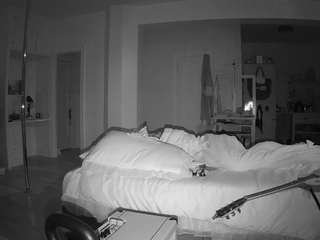 voyeurcam-celticiron-02