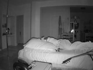 voyeurcam-celticiron-02