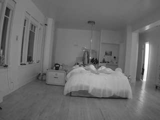 voyeurcam-celticiron-02