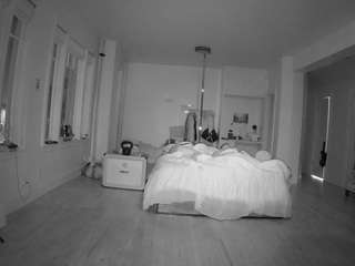 voyeurcam-celticiron-02