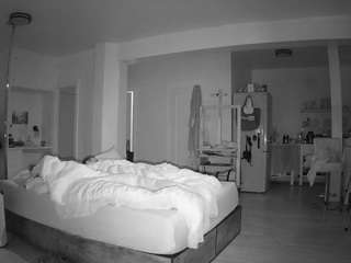 voyeurcam-celticiron-02