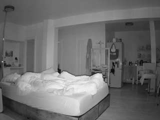 voyeurcam-celticiron-02