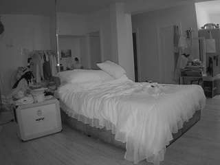 voyeurcam-celticiron-02