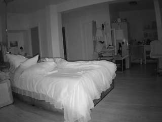 voyeurcam-celticiron-02