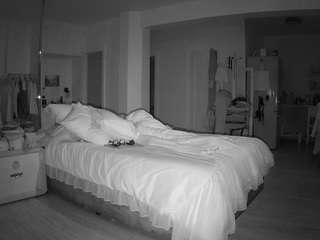 voyeurcam-celticiron-02