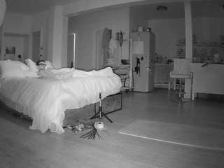 voyeurcam-celticiron-02