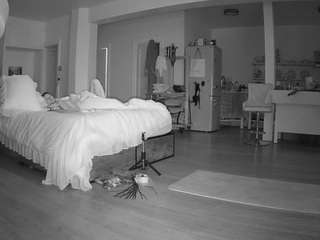 voyeurcam-celticiron-02