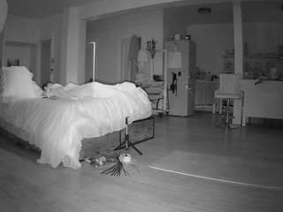 voyeurcam-celticiron-02