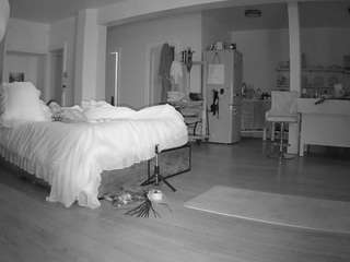 voyeurcam-celticiron-02