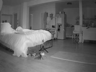 voyeurcam-celticiron-02