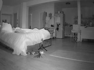 voyeurcam-celticiron-02