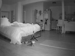 voyeurcam-celticiron-02