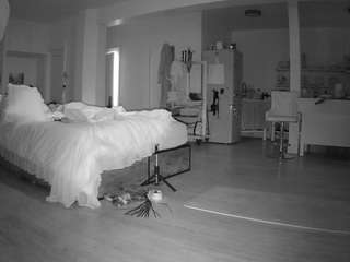 voyeurcam-celticiron-02